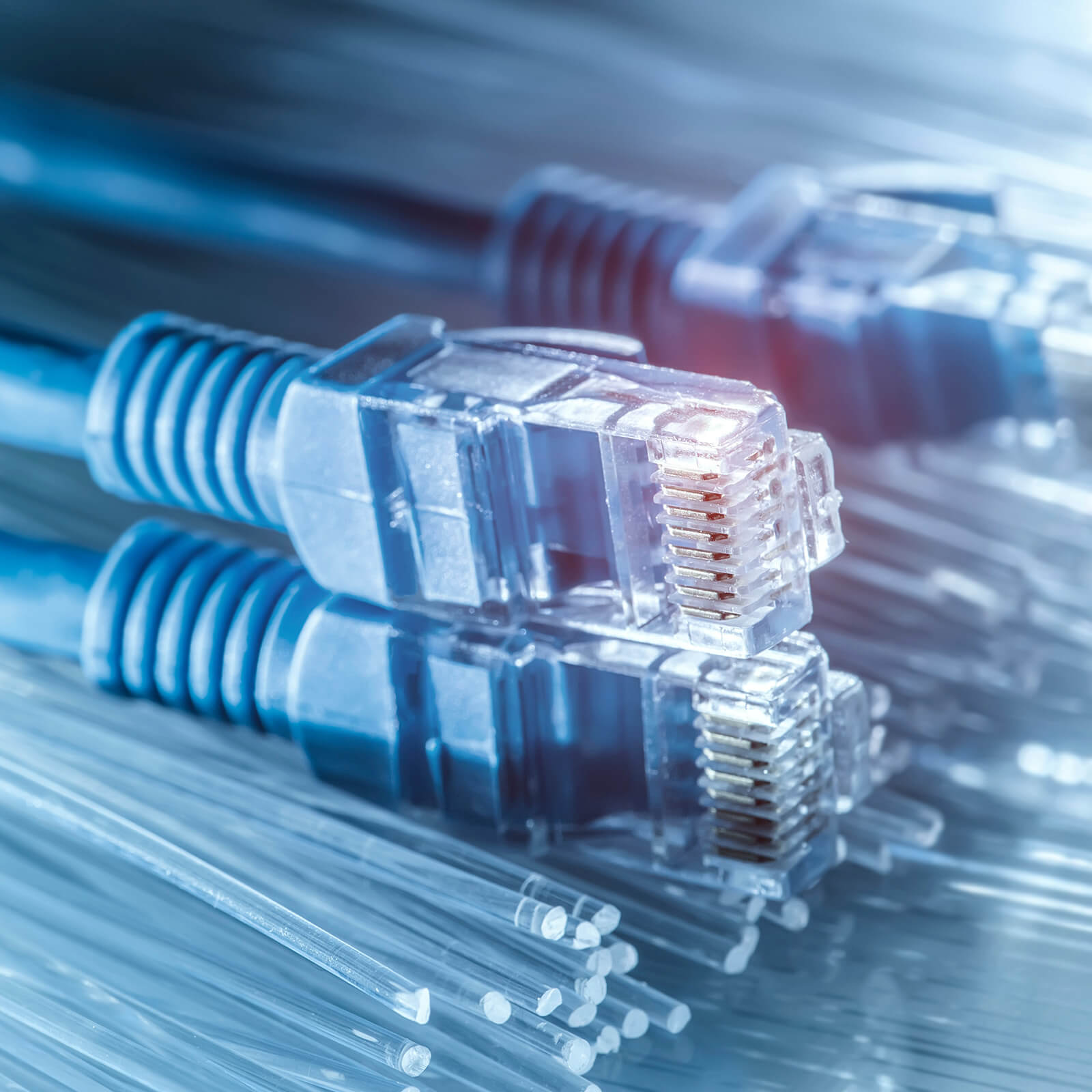 Image of ethernet cable plugs